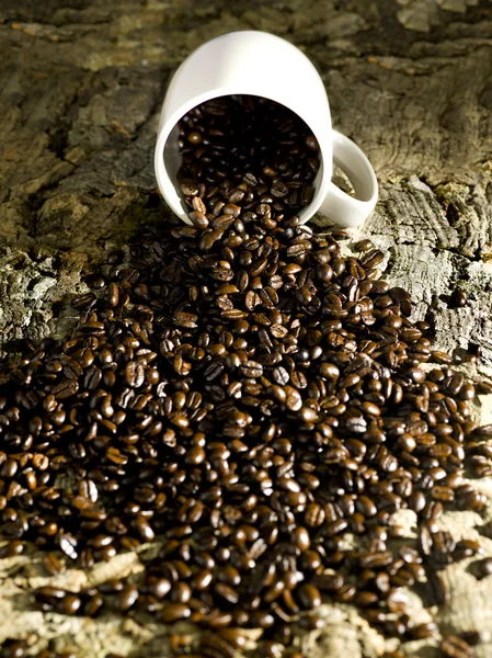 Derrame de grãos de café — Fotografia de Stock