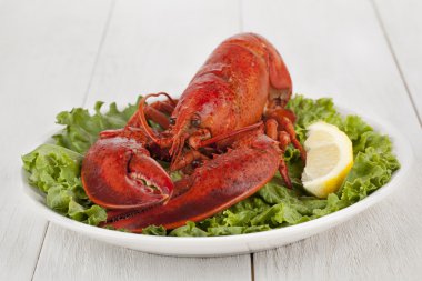 Delicious lobster in plate with lemon slice clipart