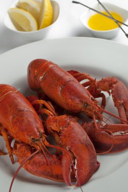 Lobsters platter clipart