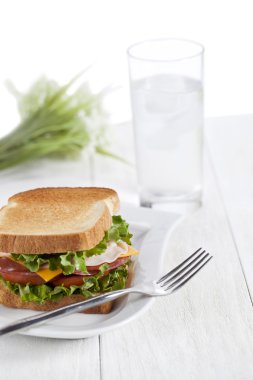 Ham sandwich with toasted bread in plate with spoon clipart