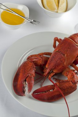 Cropped image of plate with cooked lobster clipart