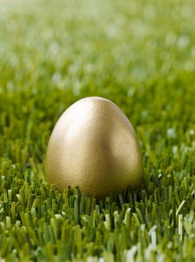 Golden egg on grass clipart