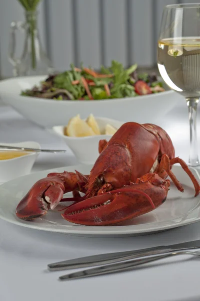 Assiette avec un repas de homard — Photo