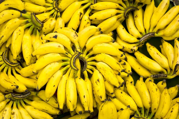 stock image Banana bunches