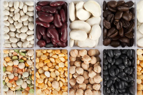分類された豆、エンドウ豆 — ストック写真