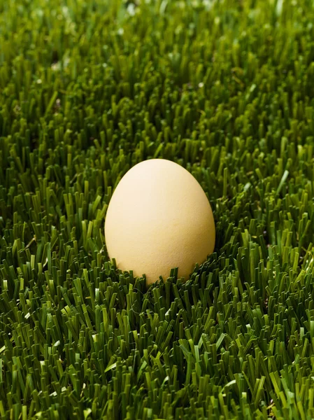 Коричневе яйце ізольоване зеленою травою — стокове фото