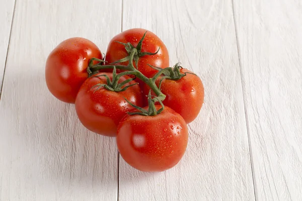 Friske tomater - Stock-foto