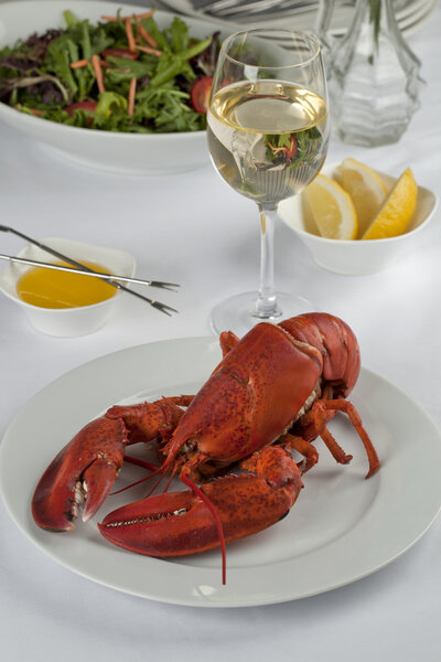 Lobster dinner with wine and vegetable salad