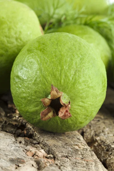 Guava ovoce — Stock fotografie