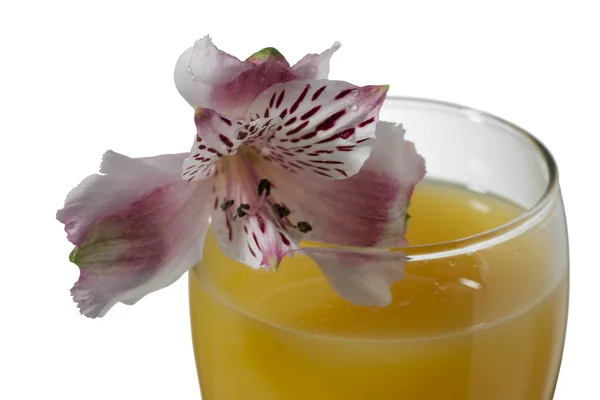 Mango kokteyl içki — Stok fotoğraf