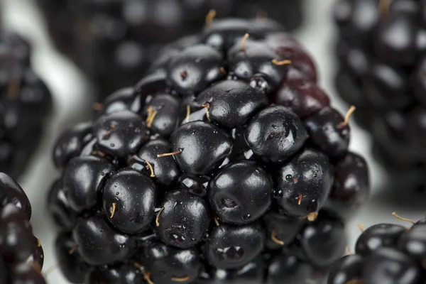 Delicious blackberry fruit — Stock Photo, Image
