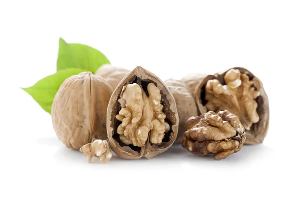 Open walnuts — Stock Photo, Image
