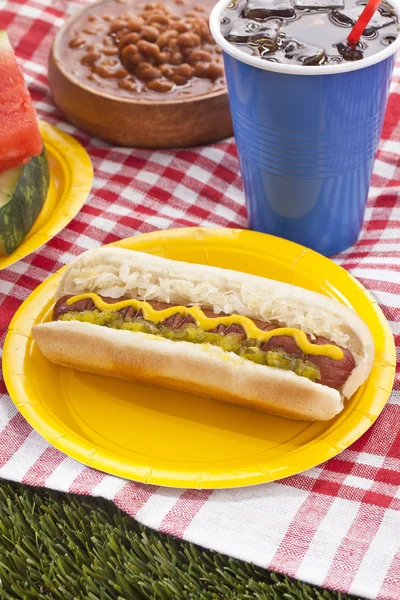 Sanduíche de cachorro quente em piquenique — Fotografia de Stock