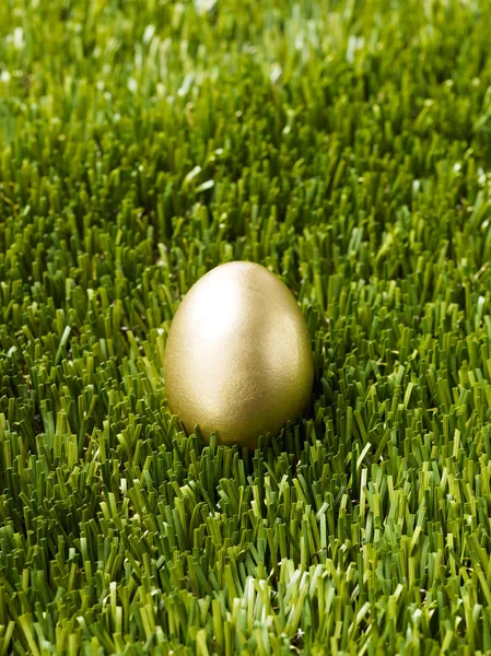 Guldägget på det gröna gräset — Stockfoto