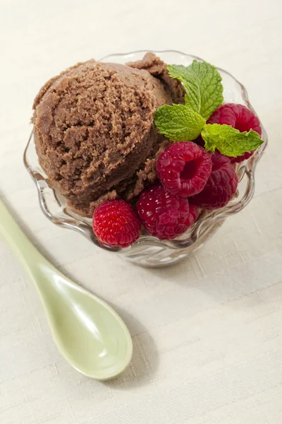Tentant bol de crème glacée au chocolat — Photo