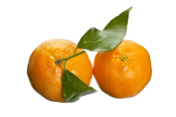 Два апельсина — стоковое фото