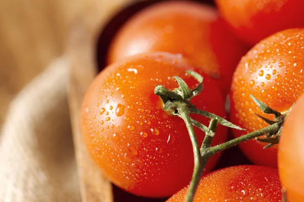 Mokré cherry rajčata — Stock fotografie