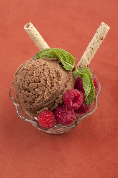 Ciotola gelato al cioccolato — Foto Stock