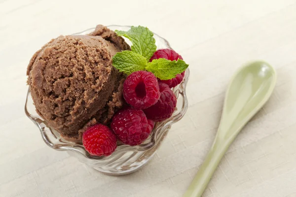 Ahududu ile Çikolatalı dondurma — Stok fotoğraf