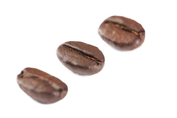 Three coffee grains — Stock Photo, Image