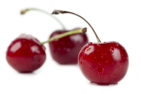 Três cerejas deliciosas — Fotografia de Stock