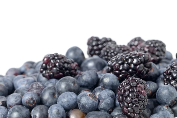 Pile of blueberries and black berries — Stock Photo, Image