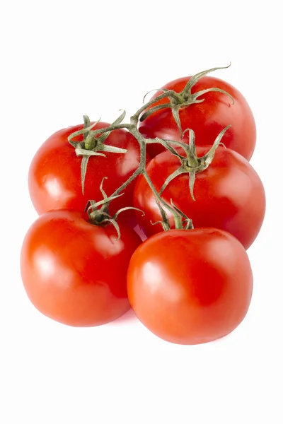 Røde tomater - Stock-foto