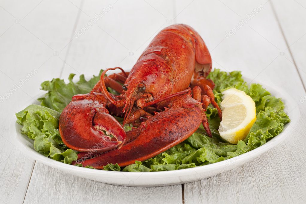 Delicious lobster in plate with lemon slice