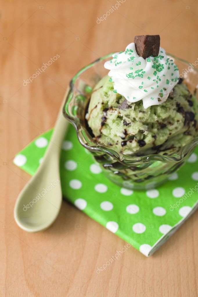 mint chocolate chip ice cream with whipped cream and syrup