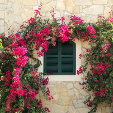 Mediterranean window clipart