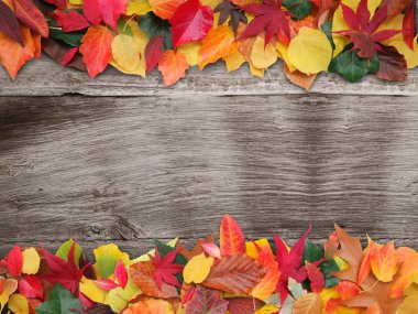 Fall background clipart