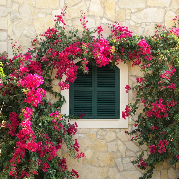 Mediterranean window — Stock Photo, Image