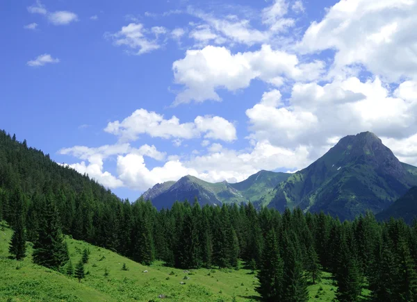 Indah Alpen — Stok Foto