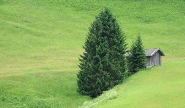 Hillside colibă din lemn — Fotografie, imagine de stoc