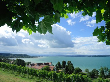 Birnau at the Lake Constance clipart