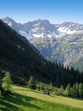 Alp gramais görünümünde