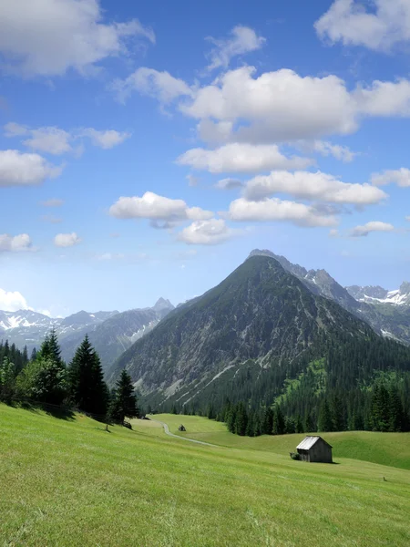 Alpi Lechtal — Foto Stock