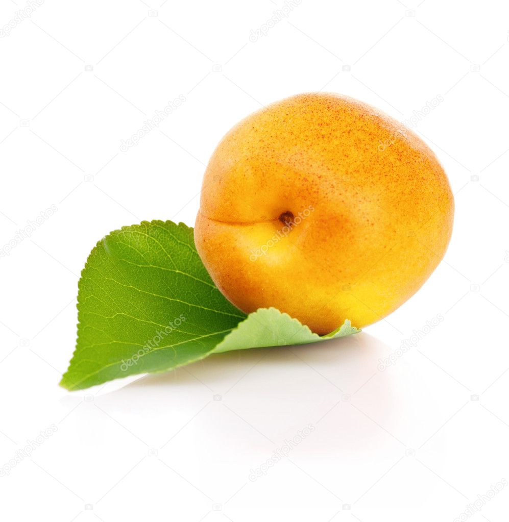 Apricot with leaf