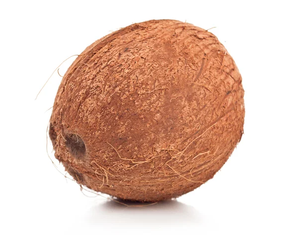 Kokos na białym tle — Zdjęcie stockowe