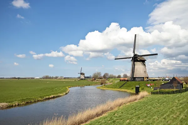 Hollandiában holland táj hagyományos szélmalmok — Stock Fotó