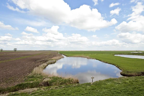 Typisch Hollands landschap in het voorjaar in Nederland — Stockfoto