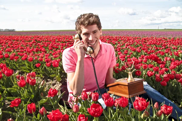 Молодой счастливый парень делает телефонный звонок на тюльпановых полях — стоковое фото