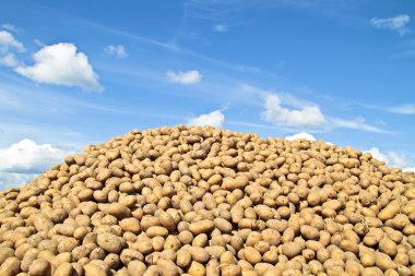 Pile of potatoes clipart