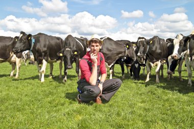 Young dutch farmer with his cows clipart