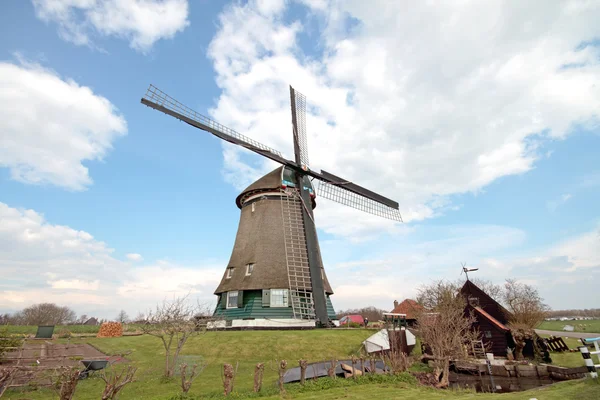 Molino de viento tradicional en el paisaje holandés en los Países Bajos —  Fotos de Stock
