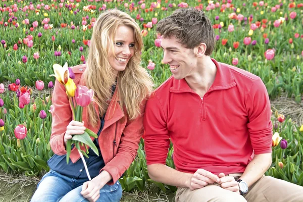 Junges glückliches Paar pflückt Tulpen auf den Tulpenfeldern — Stockfoto