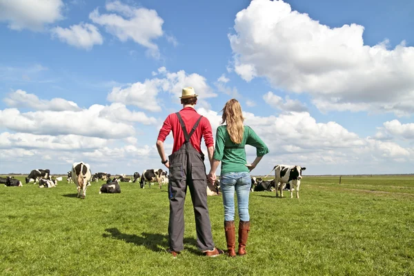 The farmer and his wife proudly looking at their cows — Stock Photo, Image