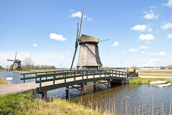 Традиционные ветряные мельницы в голландском ландшафте — стоковое фото