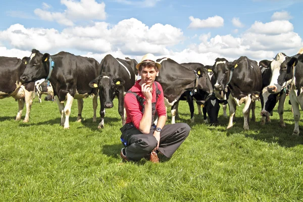 Jonge Nederlandse boer met zijn koeien — Stockfoto