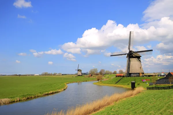 Moulins à vent traditionnels dans le paysage hollandais — Photo
